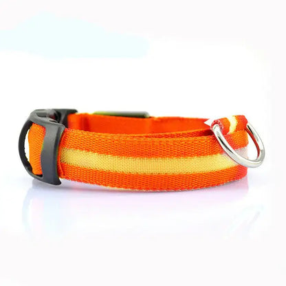LED Glow Dog Leash & Collar for Night Walk Safety