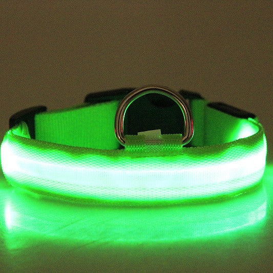 LED Glow Dog Leash & Collar for Night Walk Safety