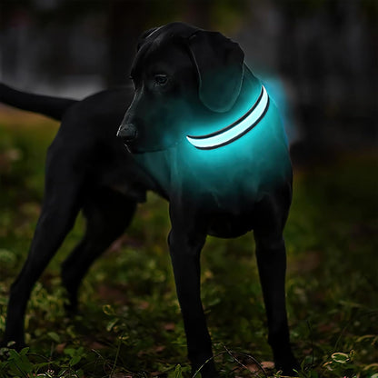 LED Glow Dog Leash & Collar for Night Walk Safety