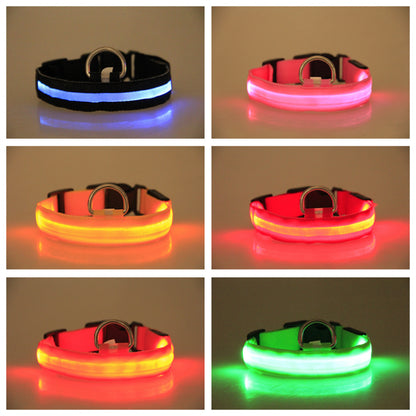 LED Glow Dog Leash & Collar for Night Walk Safety