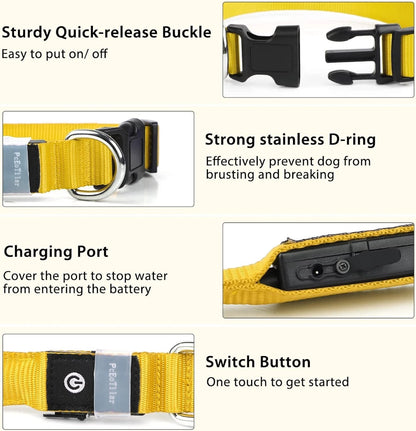 LED Glow Dog Leash & Collar for Night Walk Safety